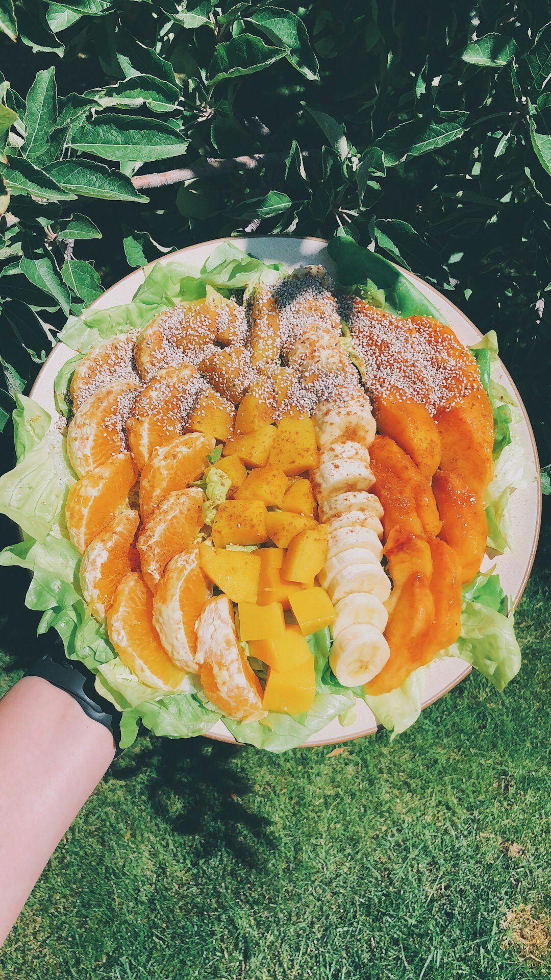 colorful healthy plate